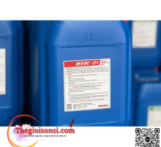 Chống Thấm Ngược INTOC-01