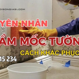 NGUYÊN NHÂN GÂY ẨM MỐC, THẤM TƯỜNG VÀ CÁCH XỬ LÝ