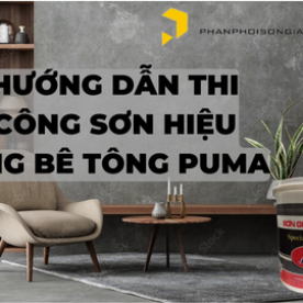 Hướng dẫn thi công sơn hiệu ứng bê tông Puma đúng chuẩn nhà máy